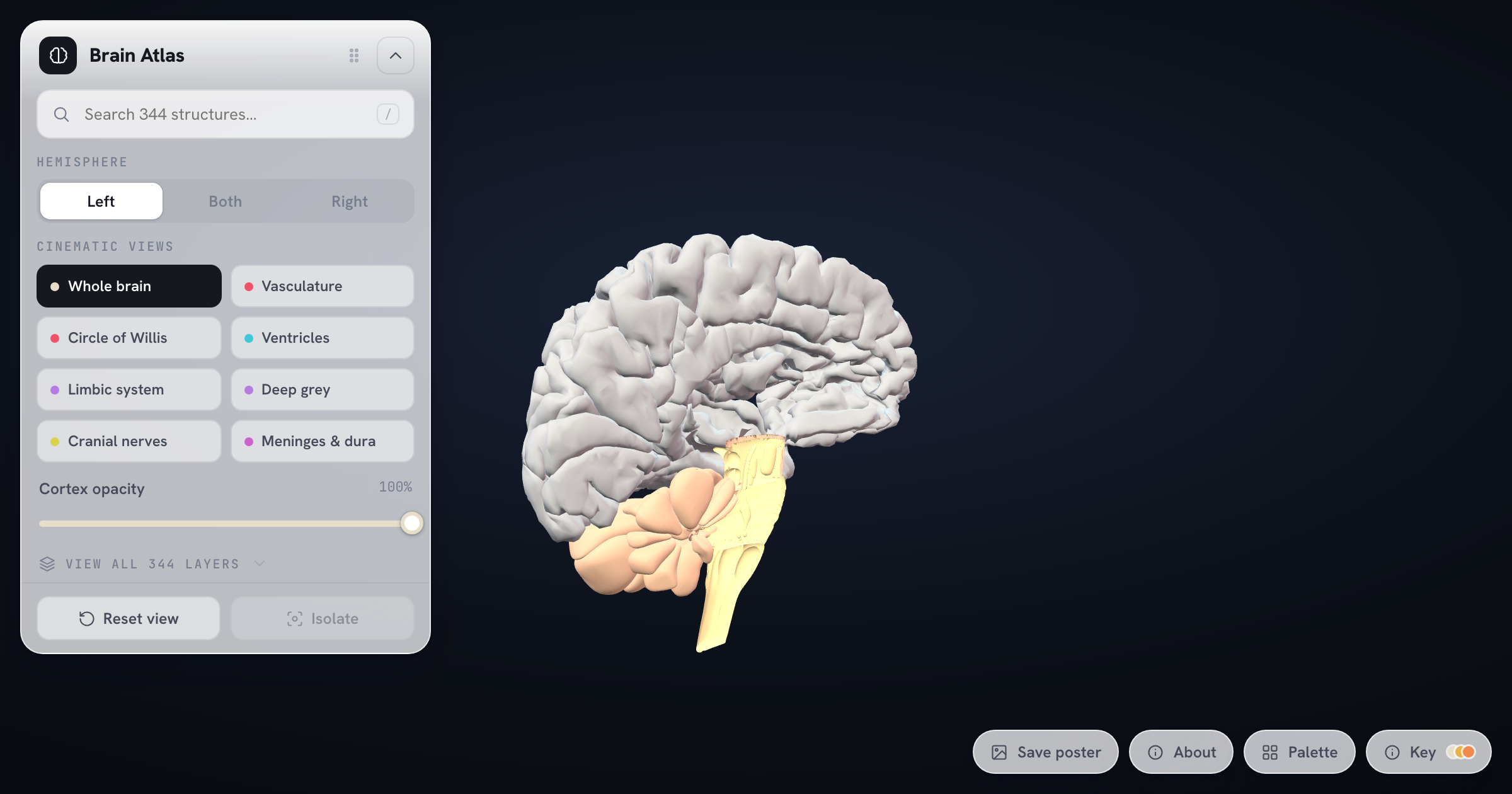 Brain Project - The Most Detailed Interactive 3D Brain